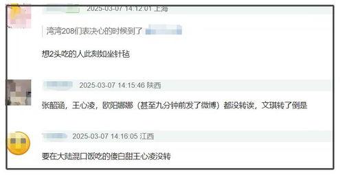 Proum国产区在线,探索创新与本土文化的融合之旅