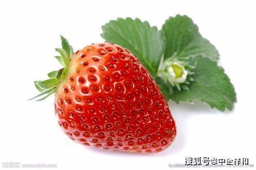 国产草莓在线测评推荐