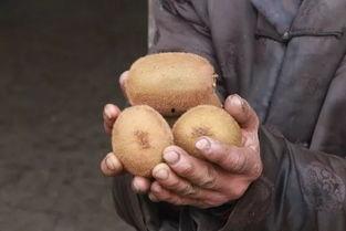 国产口爆在线观看朝西网