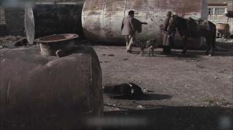 国产13杀视频在线观看,在线观看，揭秘惊悚游戏背后的真实故事