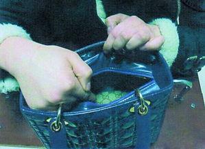 国产空姐盗窃在线,揭秘航空业内的道德困境